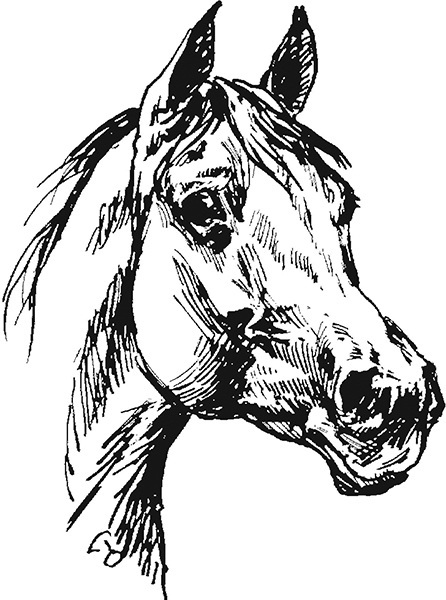 Мильтон и Булька. С вопросами и ответами для почемучек - _156.jpg