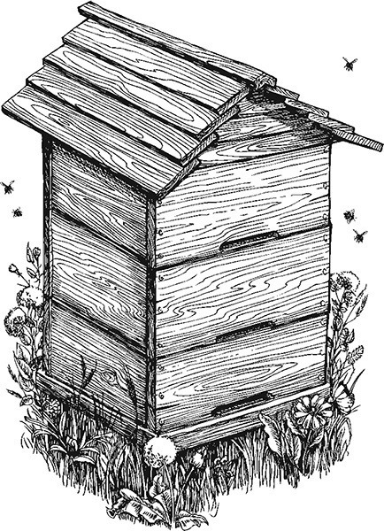 Мильтон и Булька. С вопросами и ответами для почемучек - _162.jpg