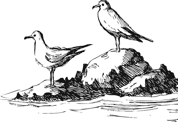 Мильтон и Булька. С вопросами и ответами для почемучек - _165.jpg