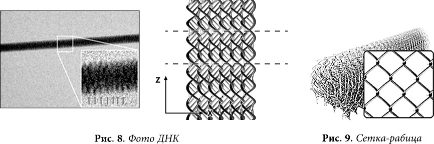 Квантовая биомеханика тела. Методика оздоровления опорно-двигательного аппарата человека. Часть II - _06.jpg