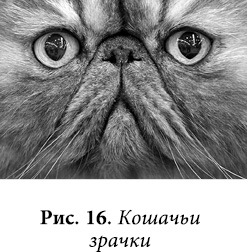 Квантовая биомеханика тела. Методика оздоровления опорно-двигательного аппарата человека. Часть II - _12.jpg