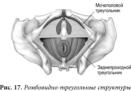 Квантовая биомеханика тела. Методика оздоровления опорно-двигательного аппарата человека. Часть II - _13.jpg