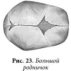 Квантовая биомеханика тела. Методика оздоровления опорно-двигательного аппарата человека. Часть II - _17.jpg