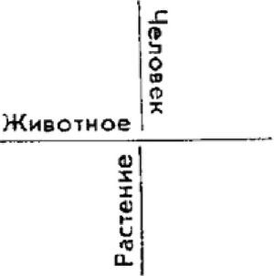 Ачи и другие рассказы - i_004.jpg