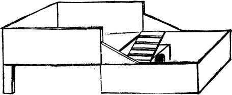 Мой живой уголок - i_054.jpg