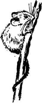 Мой живой уголок - i_055.jpg