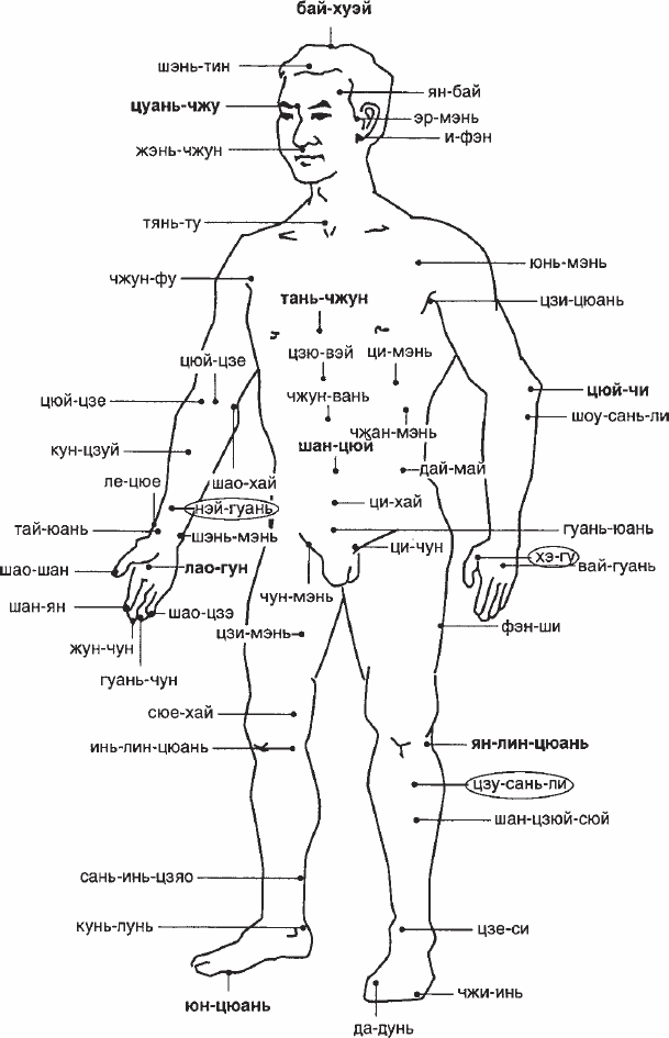 Ци-Гун: некоторые методы, или Варенье из «Красного цветка» - _11.png