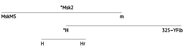 Исландские королевские саги о Восточной Европе - i_013.png