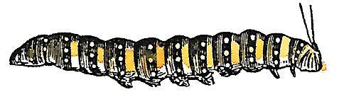 Придумано девочками - _5.jpg