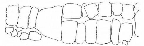 Плутовство и обман: экстрасенсы, телепатия, единороги и другие заблуждения (ЛП) - doc2fb_image_02000012.jpg