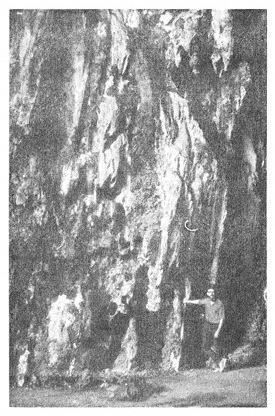 Плутовство и обман: экстрасенсы, телепатия, единороги и другие заблуждения (ЛП) - doc2fb_image_0200002E.jpg