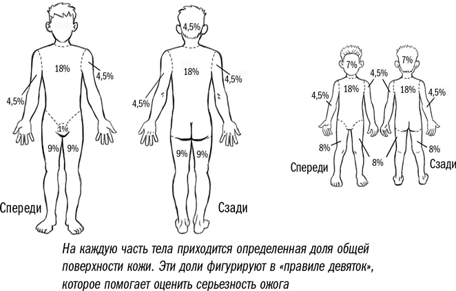 Первая помощь своими руками: Если скорая не спешит - i_012.png