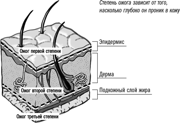 Первая помощь своими руками: Если скорая не спешит - i_013.png