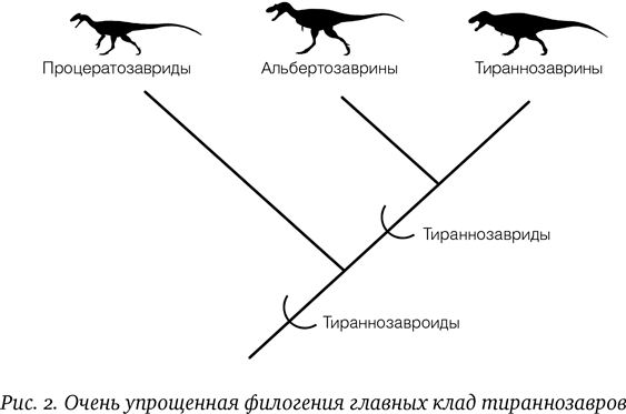 Хроники тираннозавра: Биология и эволюция самого известного хищника в мире - i_003.png