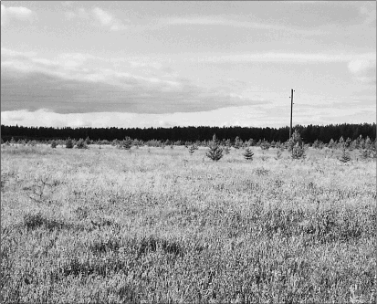 Слово о Вере Алексеевне Зашихиной. О великой народной целительнице Русского Севера - i_003.png