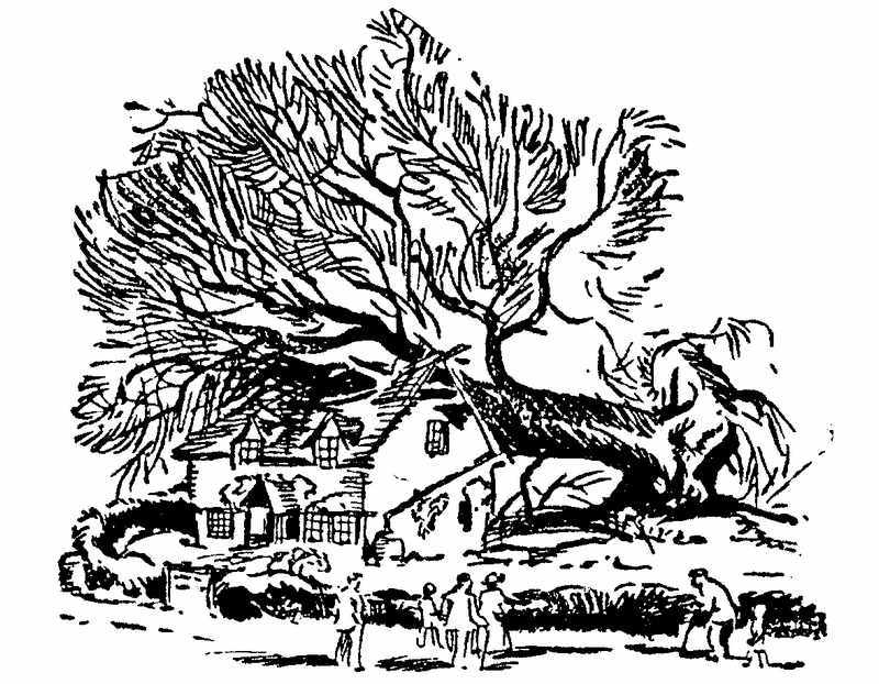 Тайна Приюта контрабандистов - i_002.jpg