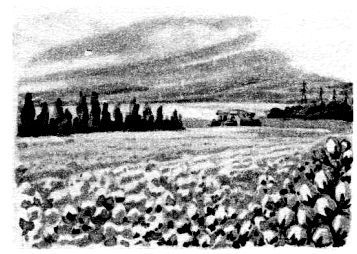 Путешествие в Завтра - pic_47.jpg