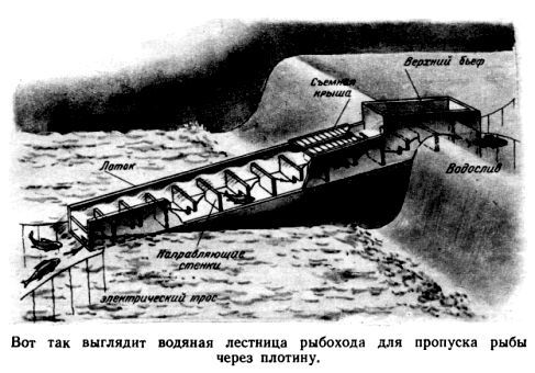 Путешествие в Завтра - pic_55.jpg