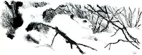 Кладовая солнца - i_006.jpg