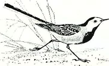 Кладовая солнца - i_009.jpg