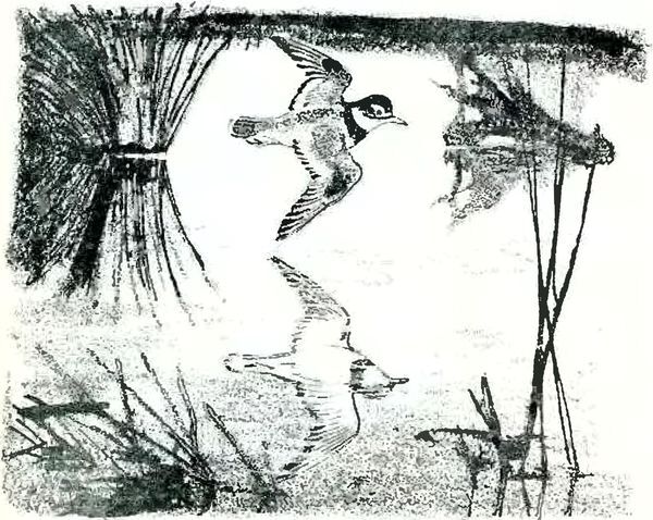 Кладовая солнца - i_010.jpg