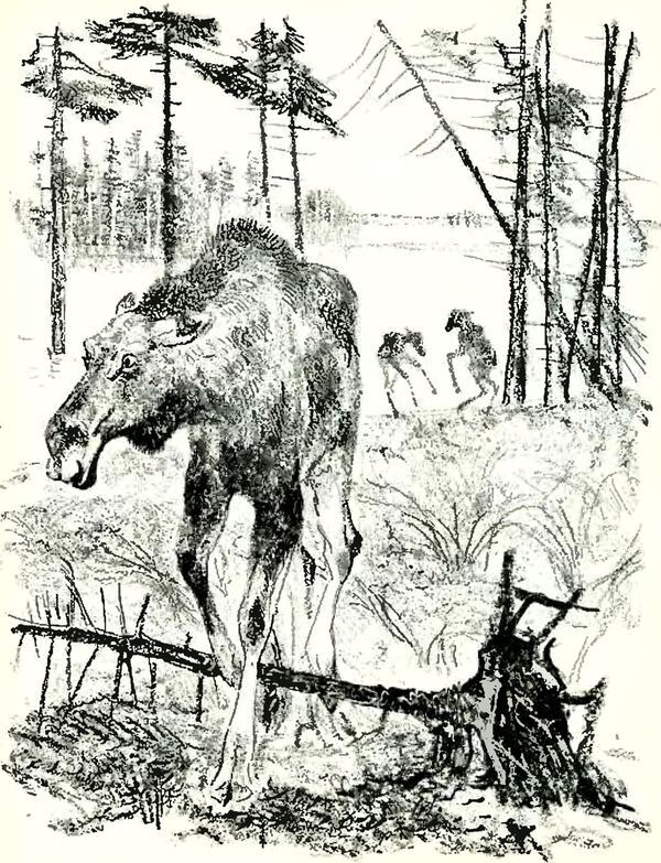 Кладовая солнца - i_011.jpg