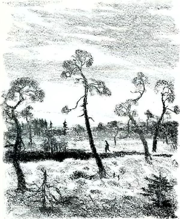 Кладовая солнца - i_012.jpg