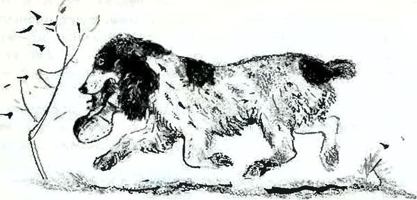 Кладовая солнца - i_013.jpg