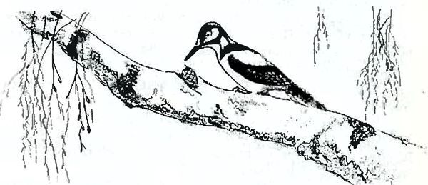 Кладовая солнца - i_014.jpg