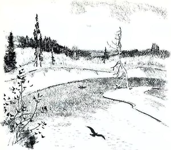 Кладовая солнца - i_015.jpg