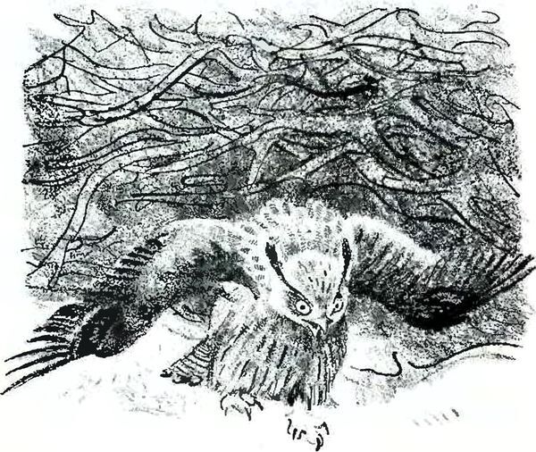 Кладовая солнца - i_017.jpg