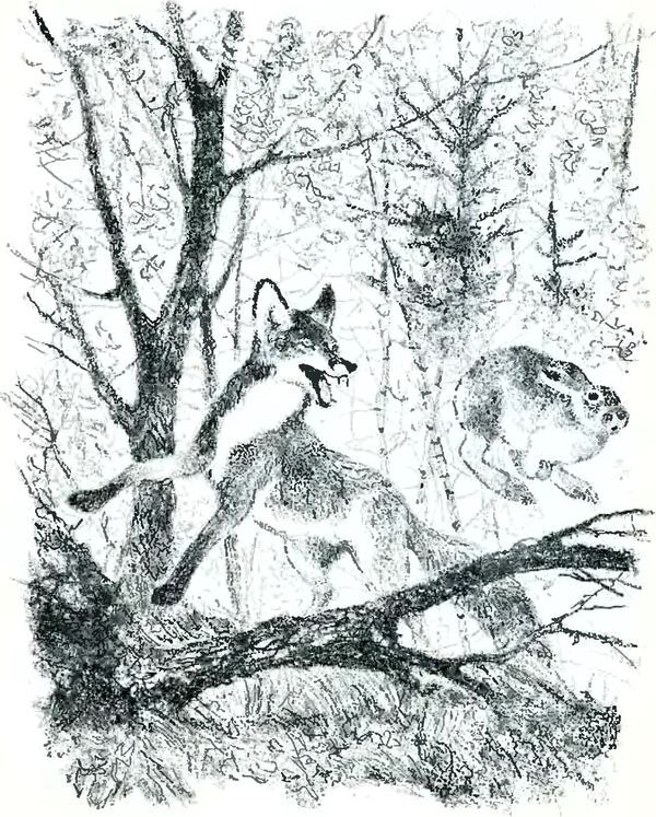 Кладовая солнца - i_018.jpg