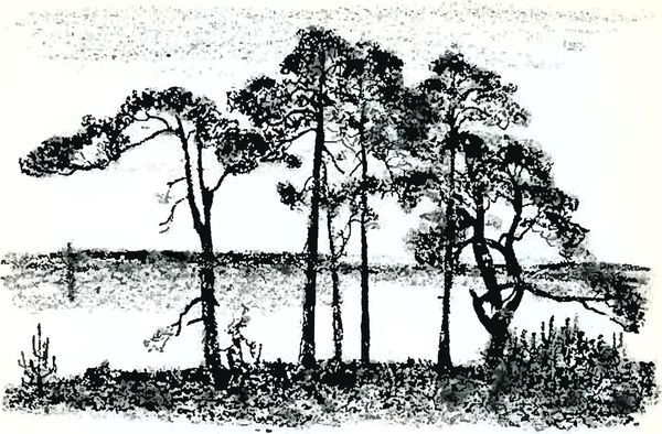 Кладовая солнца - i_020.jpg