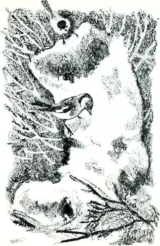 Кладовая солнца - i_021.jpg