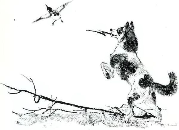 Кладовая солнца - i_022.jpg