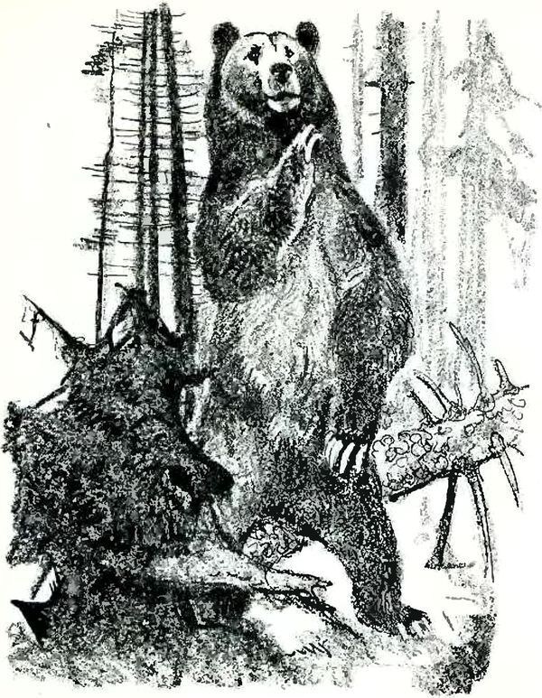 Кладовая солнца - i_023.jpg