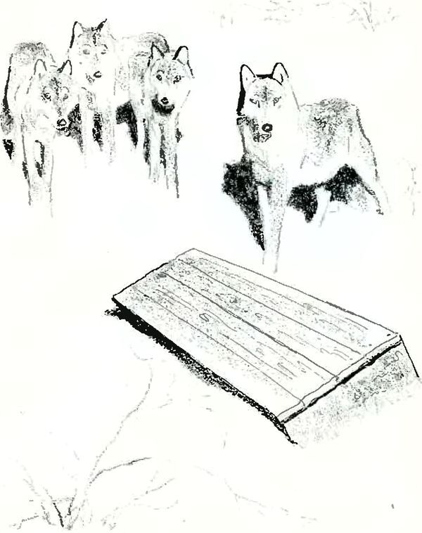 Кладовая солнца - i_024.jpg