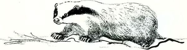 Кладовая солнца - i_025.jpg