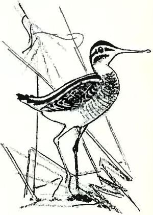 Кладовая солнца - i_026.jpg