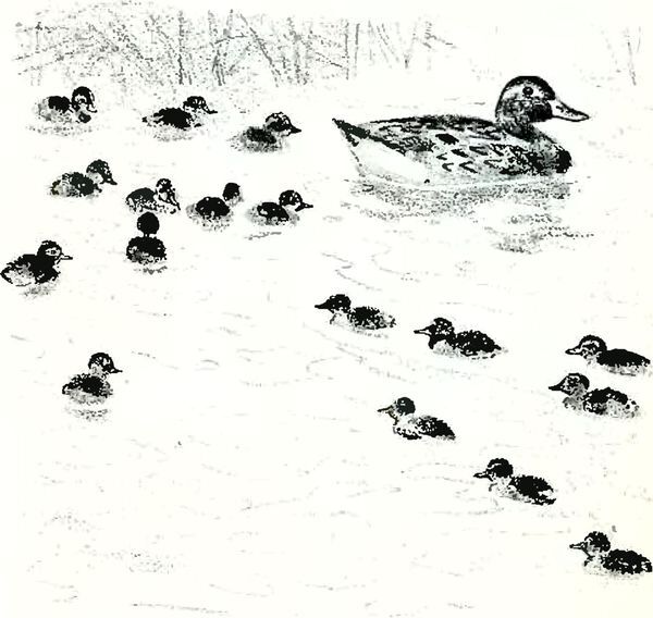 Кладовая солнца - i_027.jpg