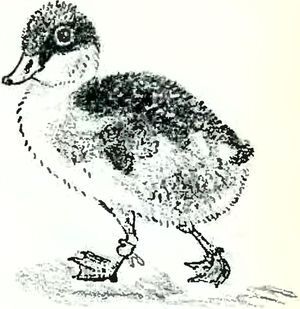 Кладовая солнца - i_028.jpg