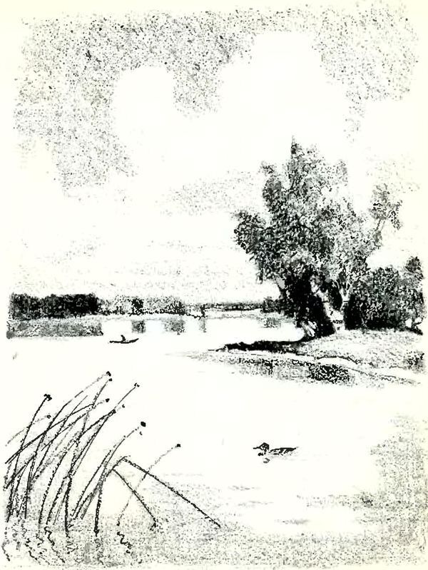 Кладовая солнца - i_031.jpg