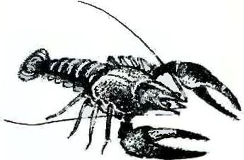 Кладовая солнца - i_032.jpg