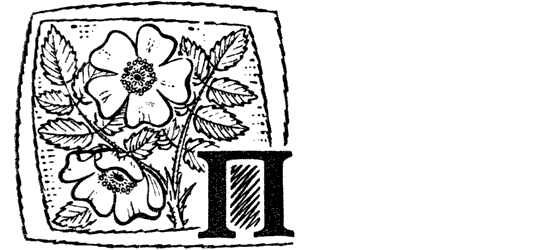 Желтая акация - i_015.png