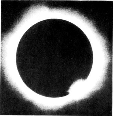 Разум побеждает: Рассказывают ученые - i_020.jpg