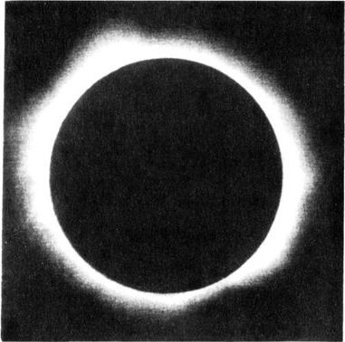 Разум побеждает: Рассказывают ученые - i_021.jpg