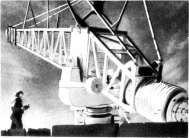 Разум побеждает: Рассказывают ученые - i_022.jpg