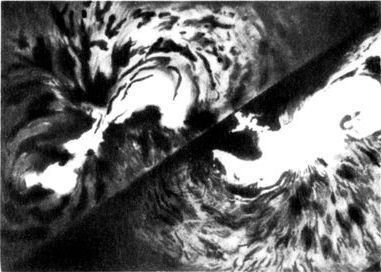 Разум побеждает: Рассказывают ученые - i_023.jpg