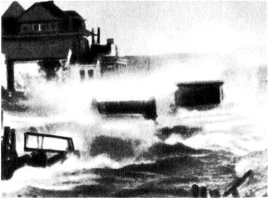 Разум побеждает: Рассказывают ученые - i_024.jpg