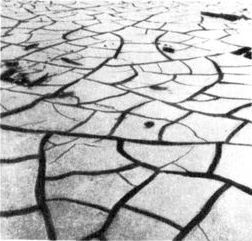 Разум побеждает: Рассказывают ученые - i_030.jpg